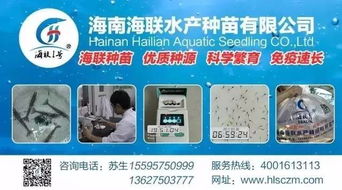 行情高涨激发养户热情，淡水鱼功能料时代 超越噱头的技术深耕与价值回归