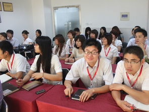 引领数字浪潮 山东鼎基信息技术助力临沂企业网站建设与全网优化